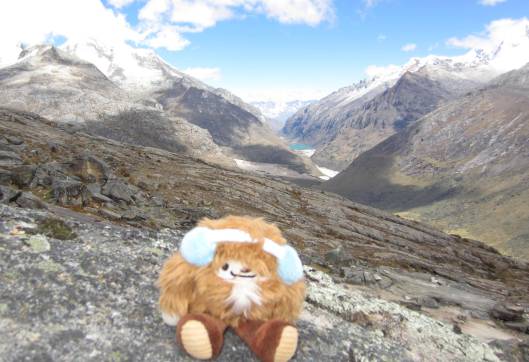 At least I got you, Quatchi