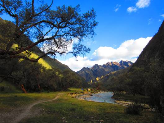 Towards the end of our trek