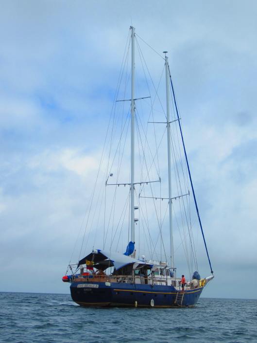 Our Sailboat, named like Darwin's vessel - The Beagle