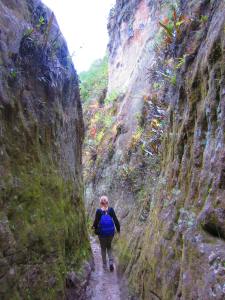 Descending one of the many canyons