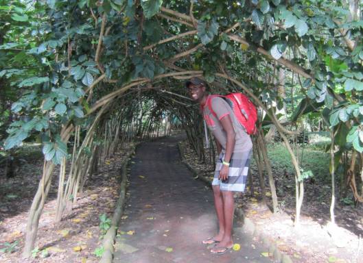 Kwame - so tall he has to bend over to get through a vine-covered walkway