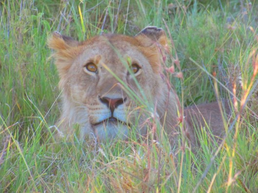 one of my favorite shots