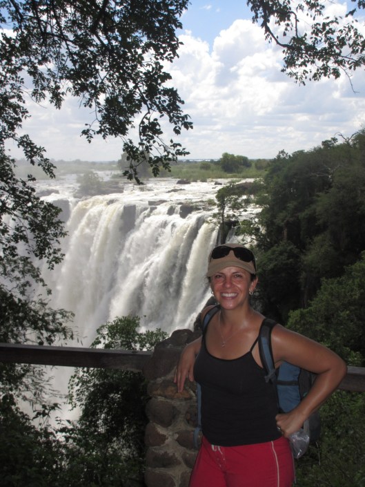 Victoria Falls from the Zambian side