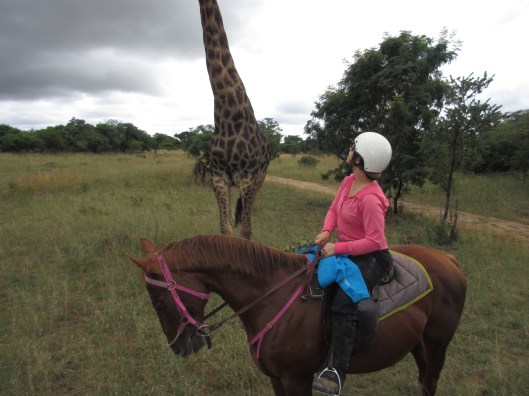 checking out a giraffe on my horseback safari