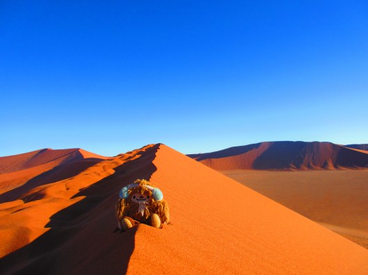 Quatchi likes the dunes too