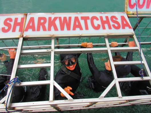 Me trying to keep food down in the shark cage