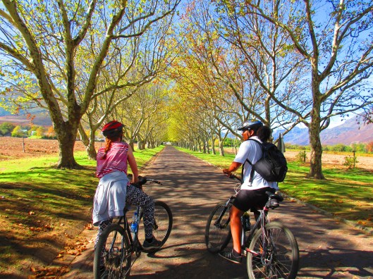 Heading out on our bike tour of Stellenbosch