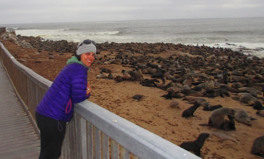 The seal colony on the Skeleton Coast