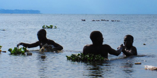 Crazy fishermen busy working not more than twenty meters from the hippos