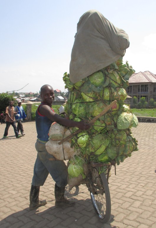 Man off to sell cabbages loaded onto his bike on the DRC border
