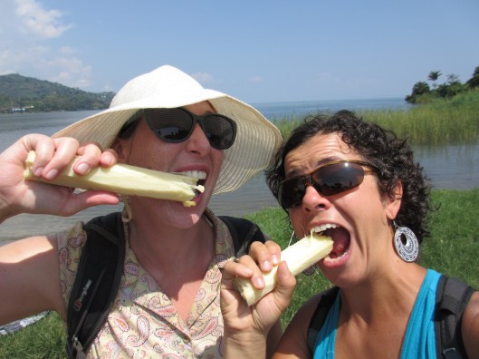 Eating Sugar cane